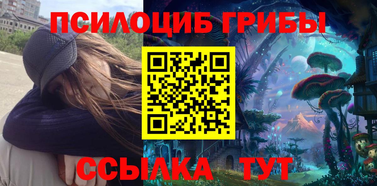 Псилоцибиновые грибы мицелий  Вход с VPN  магазин    Красноперекопск 