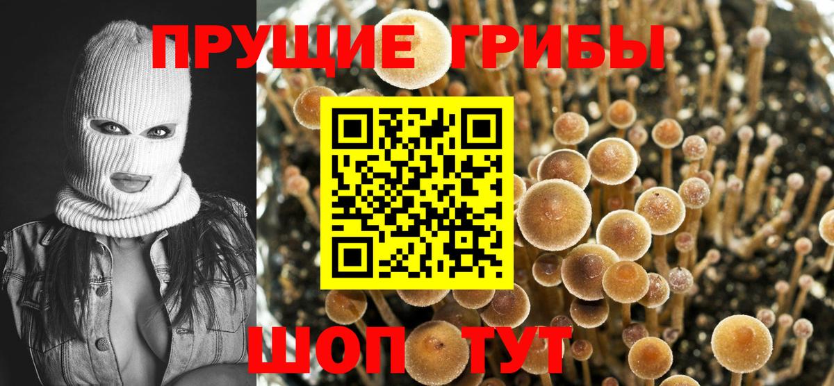Галлюциногенные грибы Psilocybine cubensis Красноперекопск